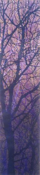 19 Winterschemering 16x68cm.jpg